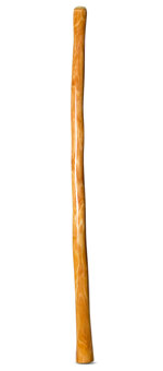 High Gloss Finish Didgeridoo (NW141)